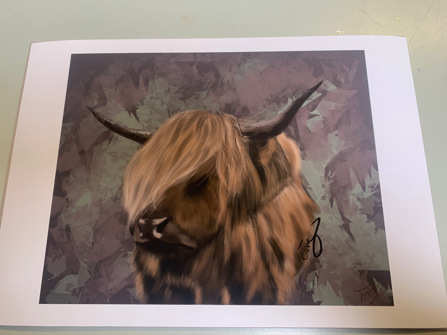 A4 Print: Rustic Shaggy Mane