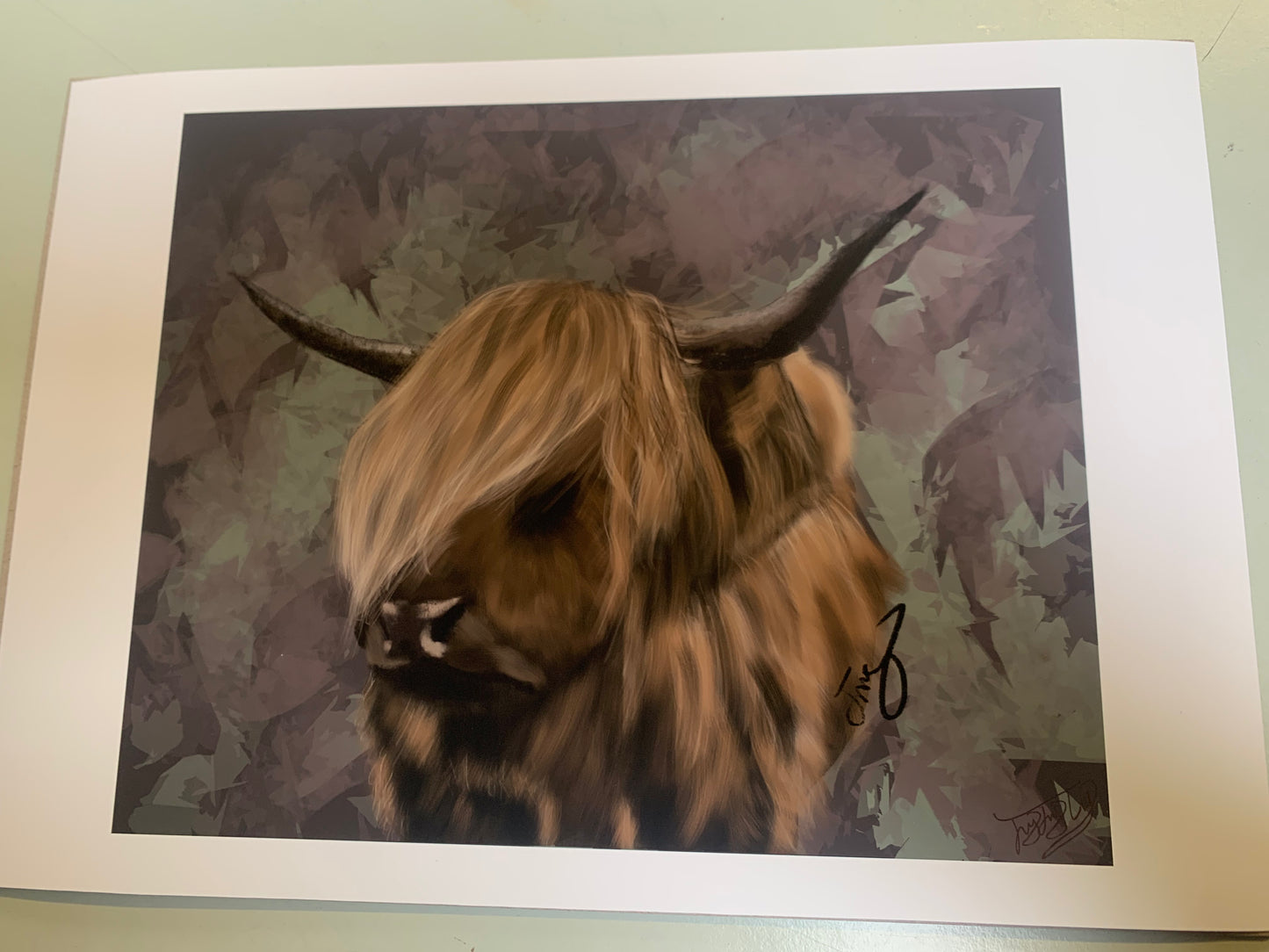 A4 Print: Rustic Shaggy Mane