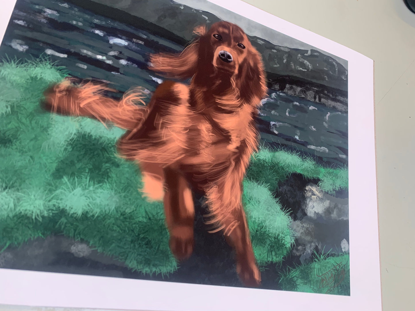 A4 Print: Fluff on the Bluff