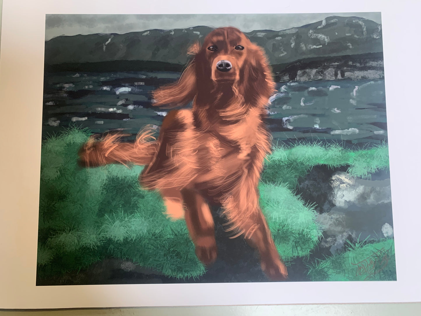 A4 Print: Fluff on the Bluff
