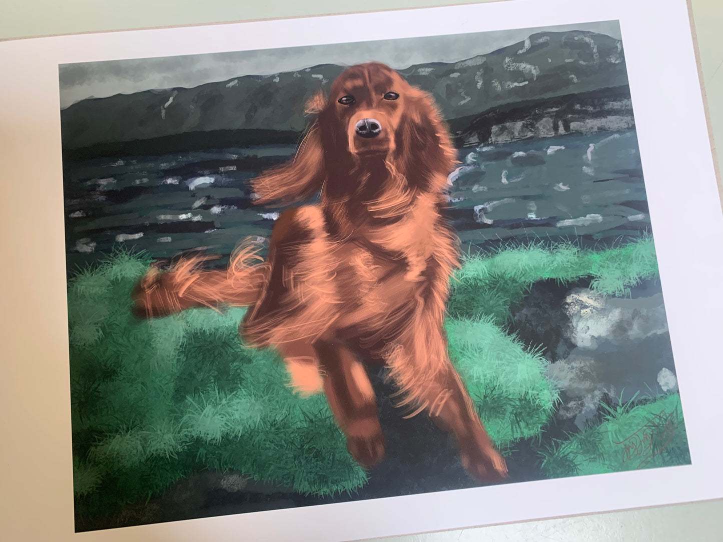 A4 Print: Fluff on the Bluff