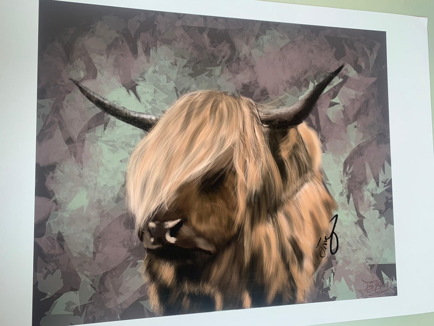 A3 Print: Rustic Shaggy Mane